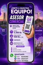 ASESOR COMERCIAL 