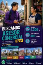 ASESORES COMERCIALES DE QR
