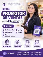 PROMOTOR DE VENTAS